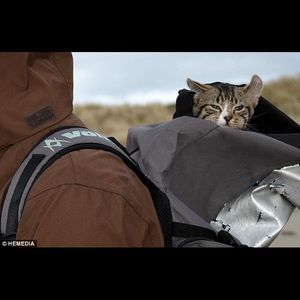 Meet your Posher, Rick